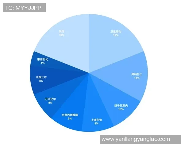 北京羽毛球队转型之路的挑战与机遇全景解析