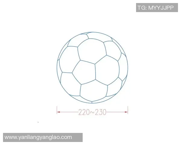 轻松学会绘制足球明星的详细步骤和技巧教程分享 轻松学会绘制足球明星的详细步骤和技巧教程分享