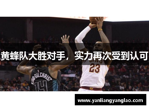 黄蜂队大胜对手，实力再次受到认可