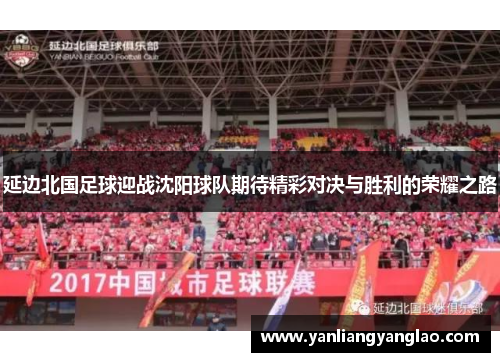 延边北国足球迎战沈阳球队期待精彩对决与胜利的荣耀之路