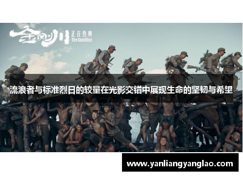 流浪者与标准烈日的较量在光影交错中展现生命的坚韧与希望