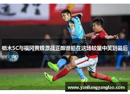 枥木SC与福冈黄蜂激战正酣谁能在这场较量中笑到最后